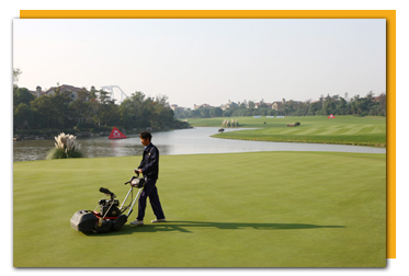 蘇州市蘇葉綠化養(yǎng)護(hù)有限公司